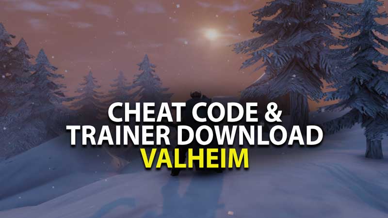 valheim cheat codes