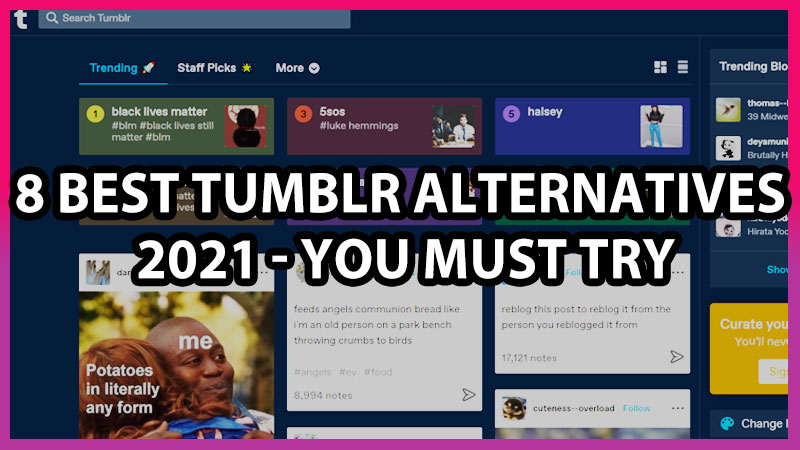 best alternatives for tumblr