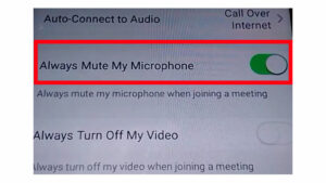 how to unmute yourself on zoom phone call