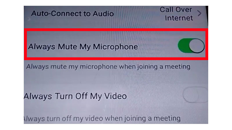 how to mute on zoom phone call