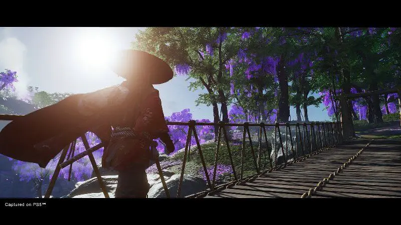 Ghost of Tsushima: Director's Cut Confirmed, New Story Expansion