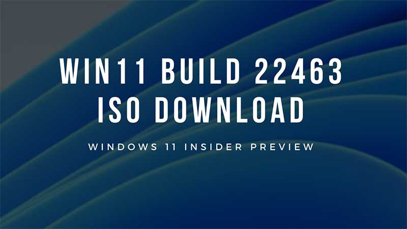 download windows 11 insider iso