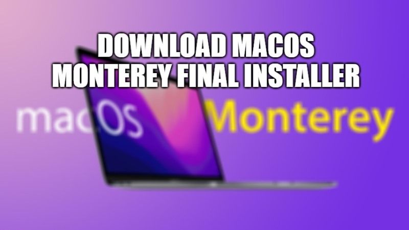 how to download macos monterey installer