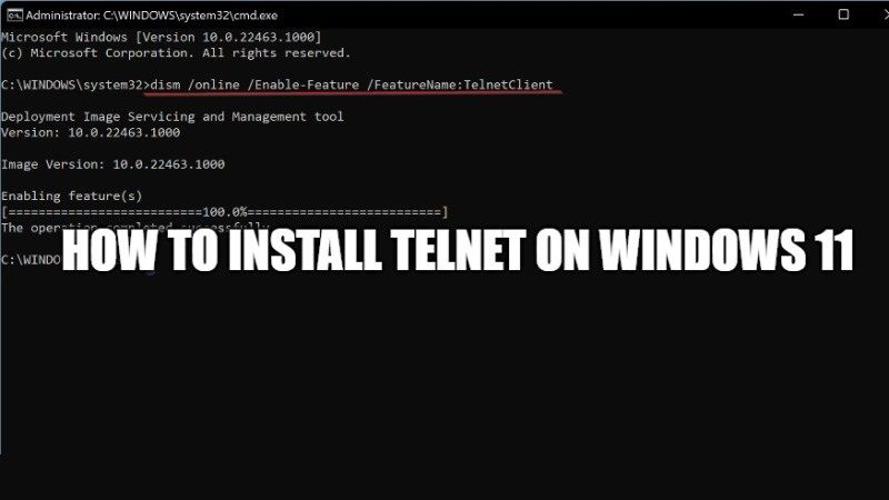 powershell install telnet windows 11