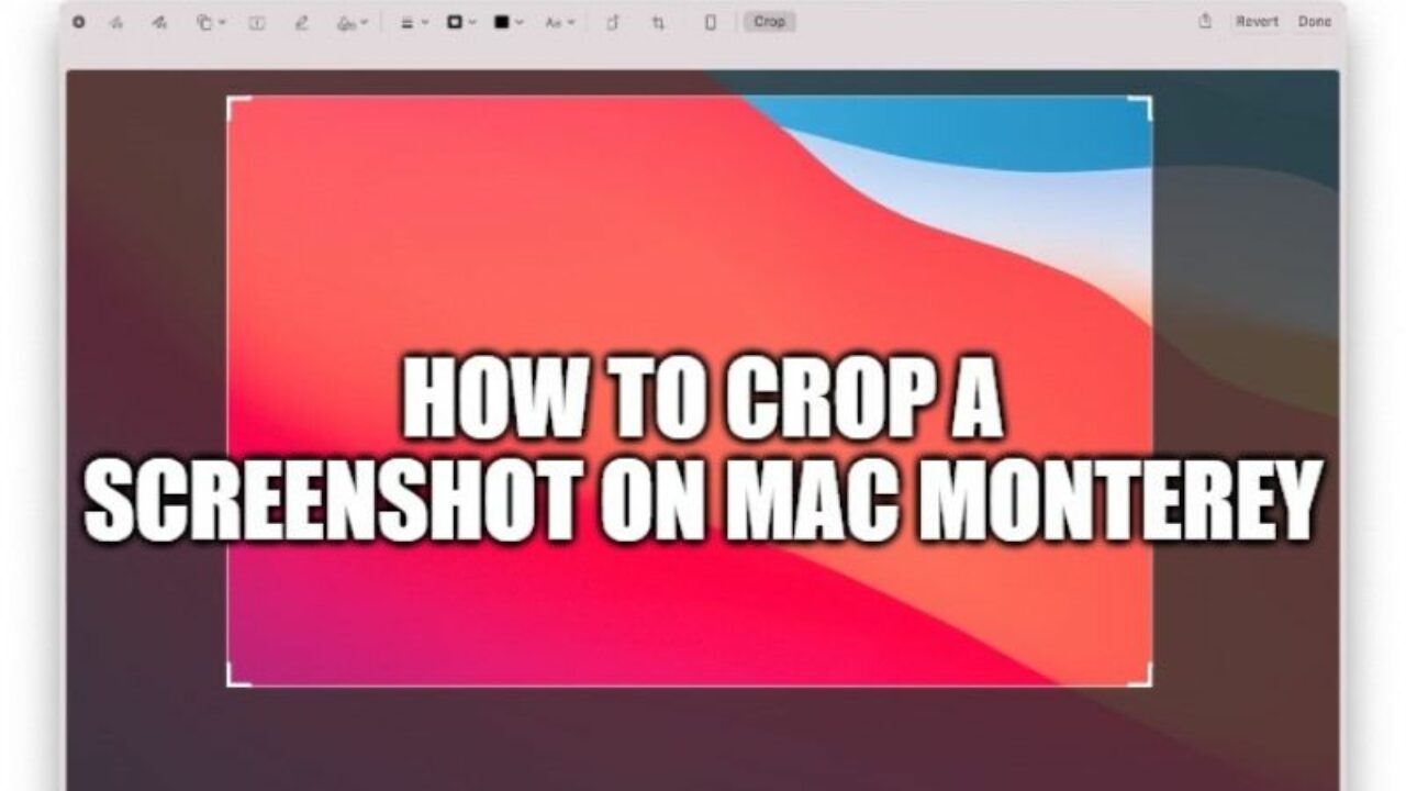 how to take a screenshot on mac and crop it