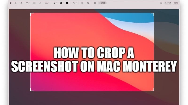 how to crop a image on mac