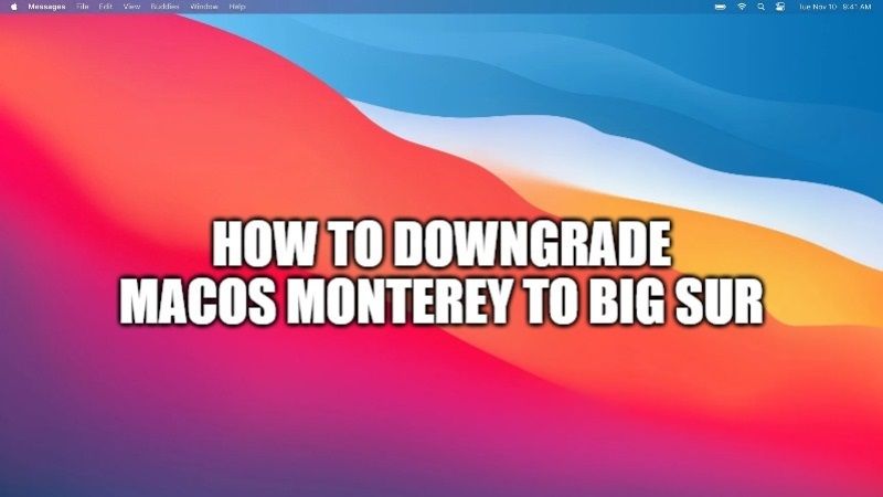 how to downgrade macos monterey to big sur