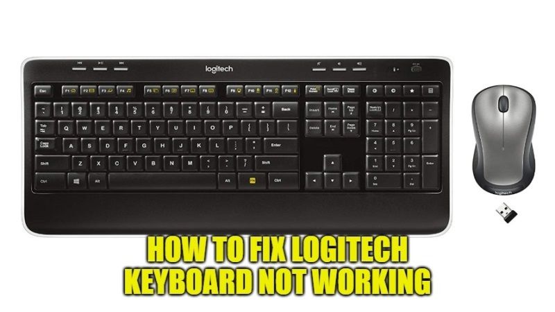 logitech wireless keyboard not working after i plug it in