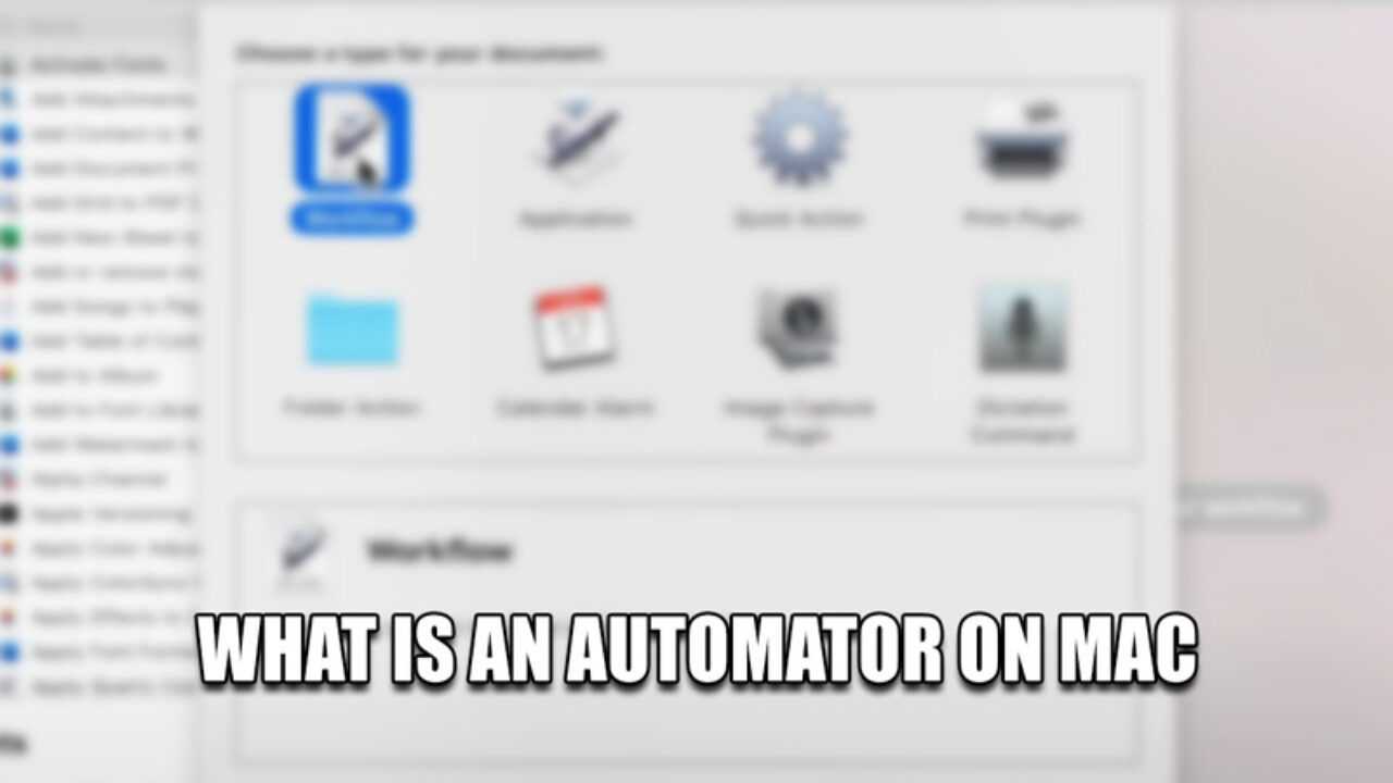 how to update automator when i update microsoft word