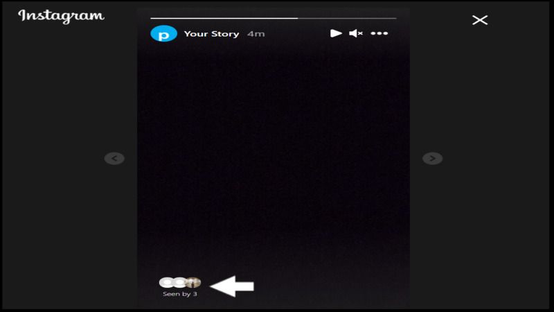 how-to-fix-instagram-story-views-not-showing-in-2023
