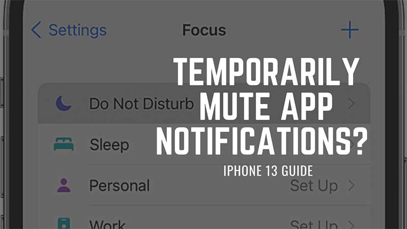 iPhone 13 Mute App Notification