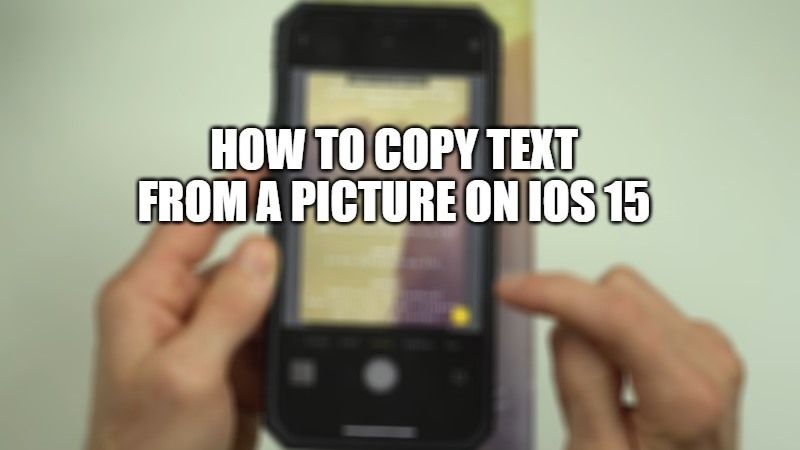 how to copy text from a picture on ios 15