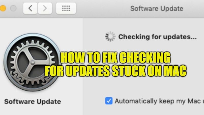 how to check for updates on macbook