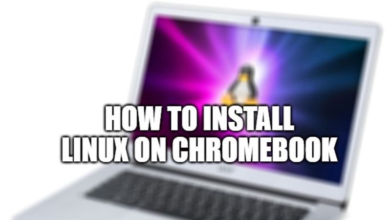 how-to-install-and-run-linux-on-chromebook-in-2022