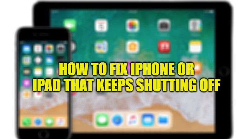 how-to-fix-iphone-or-ipad-that-keeps-shutting-off-2022-technclub