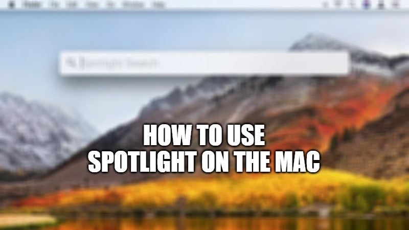 how to use spotlight on the mac