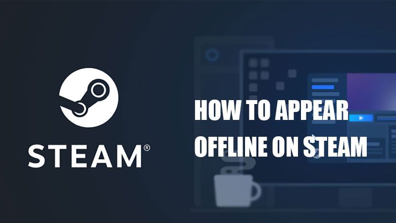 How To Appear Offline On Steam 