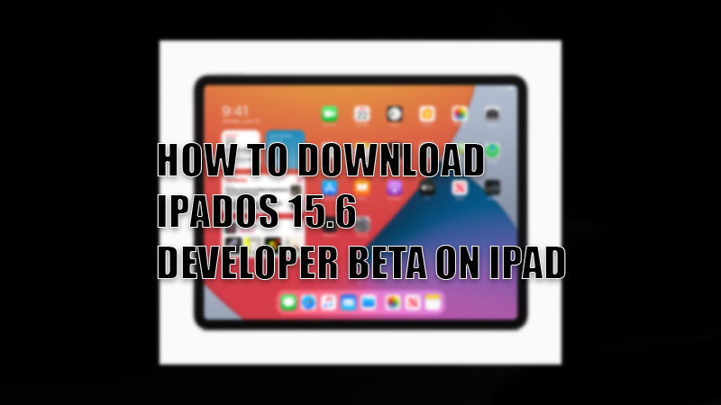 how to download ipados 15.6 developer beta on ipad