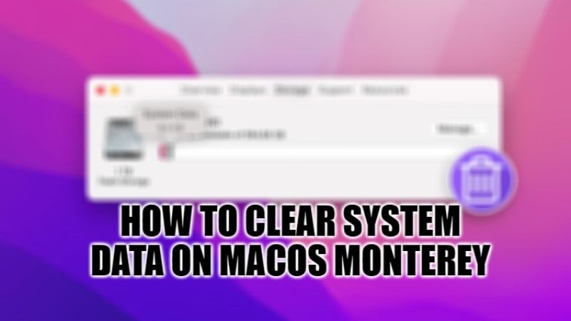 how to clear system data on mac