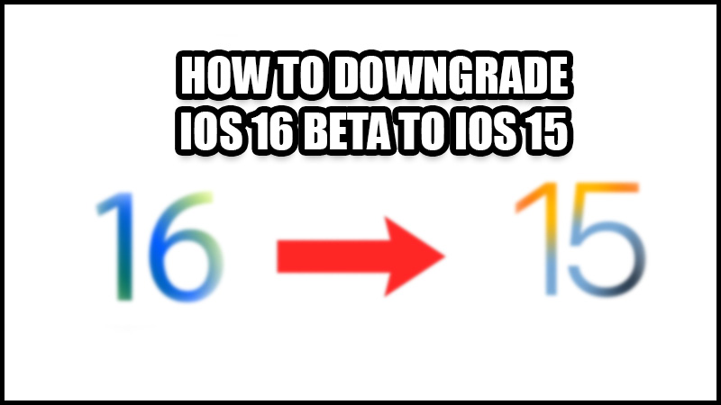 How to Downgrade iOS 16 Beta to iOS 15