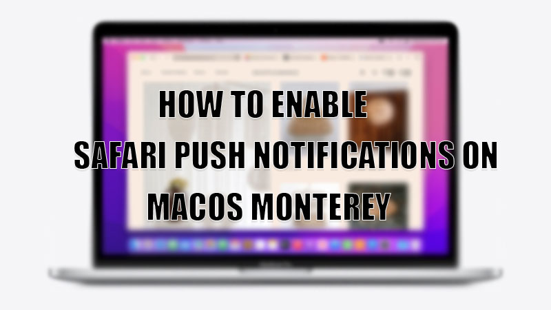 how to enable safari push notifications on macos monterey