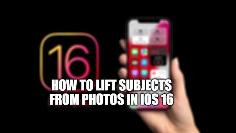 как изолировать, копировать и делиться объектами с фотографий в iOS 16