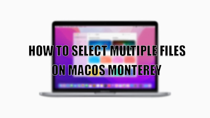 выбрать несколько файлов на macos monterey