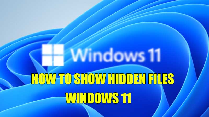 How to Show Hidden Files in Windows 11 [2022]