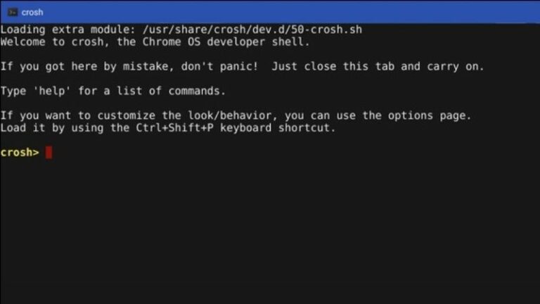 Best Crosh Terminal Commands All Chromebook Users Should Know