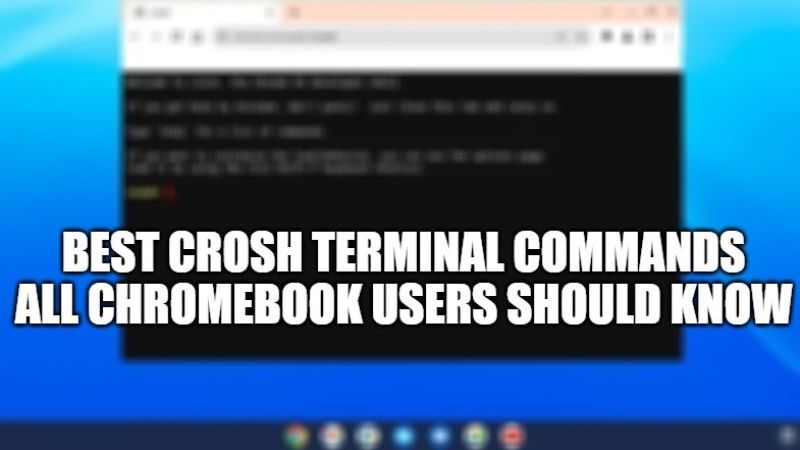 best-crosh-terminal-commands-all-chromebook-users-should-know