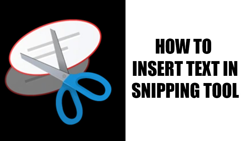 insert-text-snipping-tool
