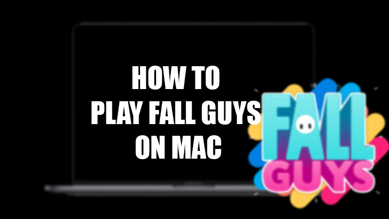 play-fall-guys-on-mac