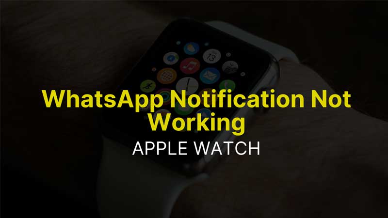 How To Fix WhatsApp Notification Not Showing On Apple Watch?