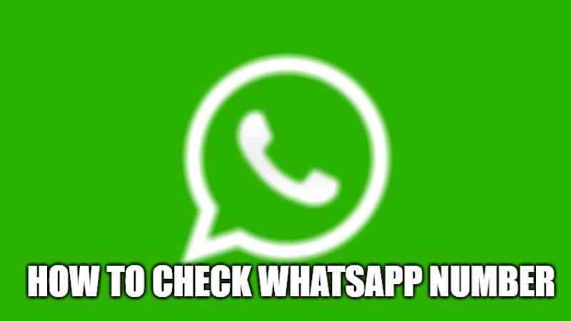 where to find my whatsapp phone number