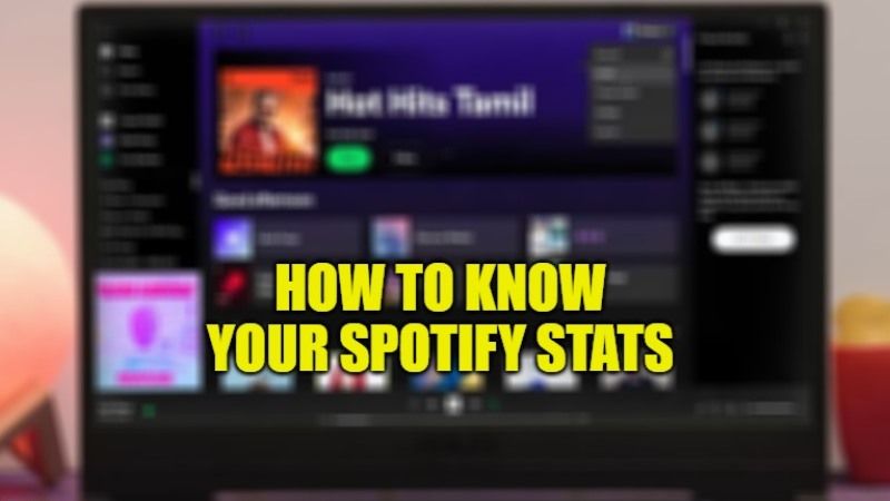 как узнать свою статистику Spotify