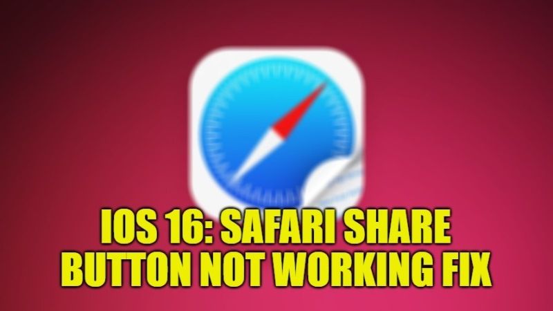 iOS 16: Safari Share Button Not Working? How to Fix