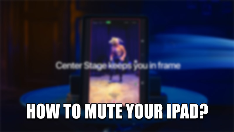 how to mute your ipad