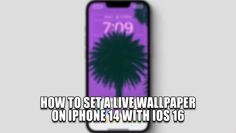 How To Set Live Wallpaper On Iphone Ios 16 6 1