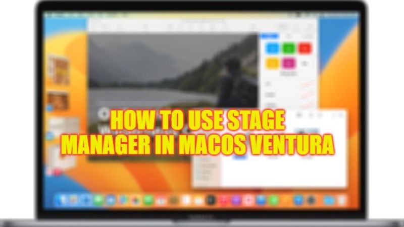 how to use stage manager in macos ventura