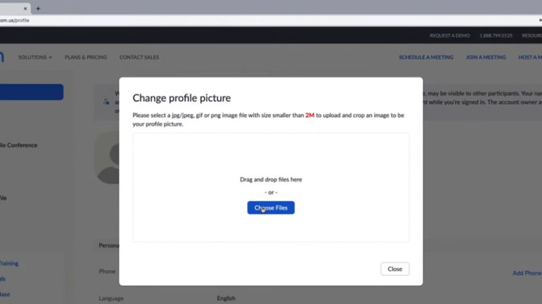 How To Change Profile Picture In Zoom Hawkdive Com - Vrogue