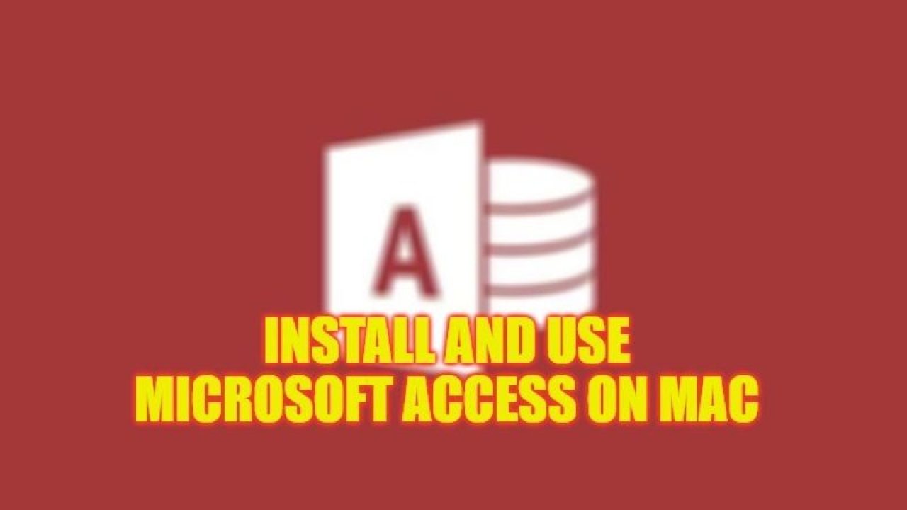 Microsoft Access: How to Install and Use on Mac (2023)