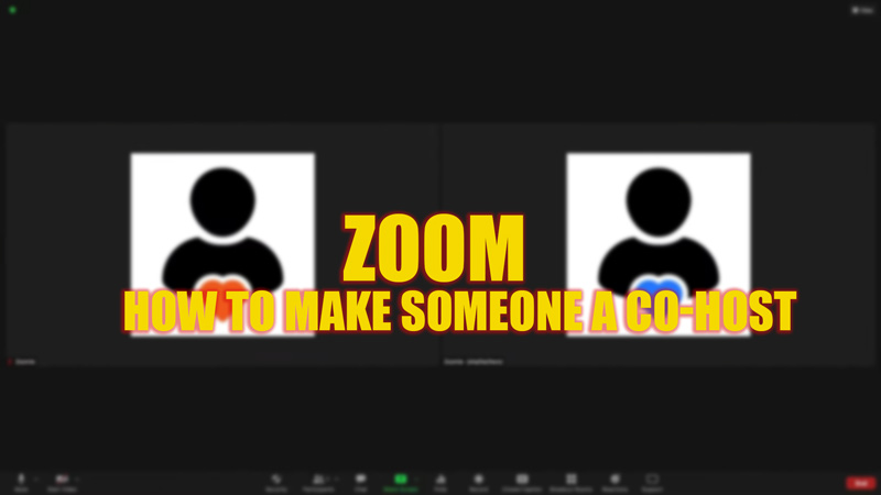 Make someone a Co-Host on Zoom