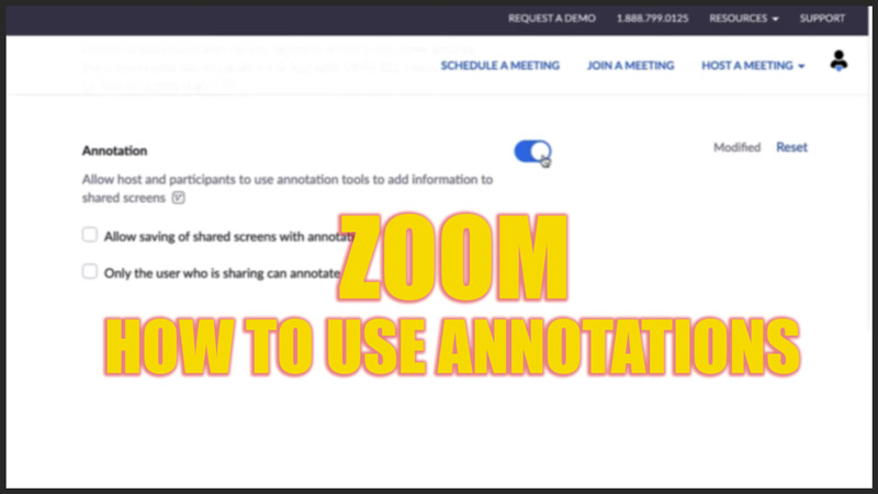 How to use annotation on Zoom