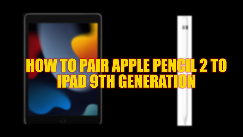 How to pair Apple Pencil 2 to iPad 9th generation