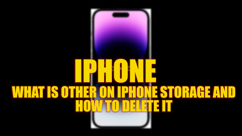 iphone-how-to-delete-the-other-storage-2023