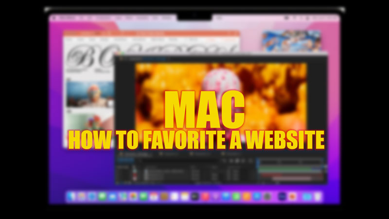 Add a website to Favorites on Mac