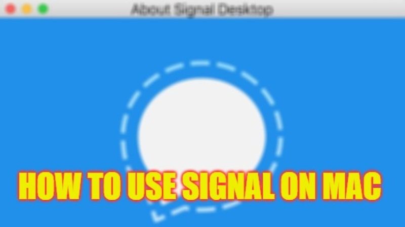 how to use signal on mac