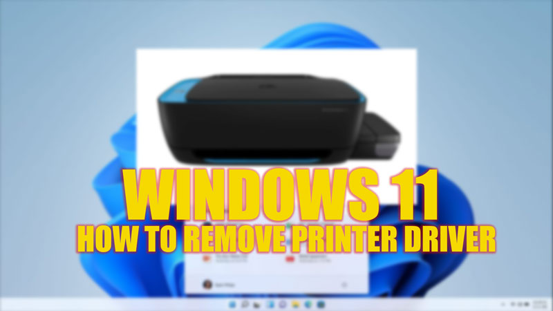 Remove Printer Driver on Windows 11