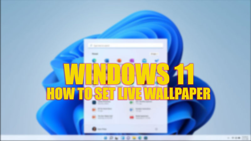 Windows 11: How to set Live wallpaper (2023)