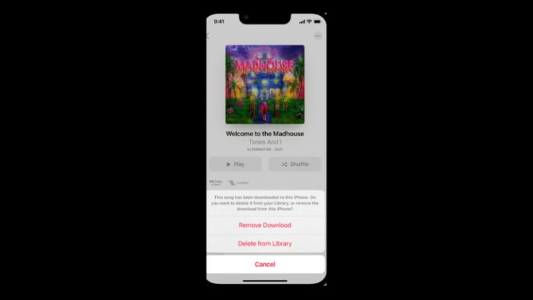 how-to-see-how-many-songs-are-in-the-apple-music-library-the